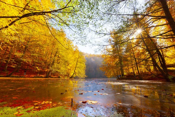 Sedmijezská Národní Park Podzim Bolu Turkey Yedigoller Milli Park — Stock fotografie