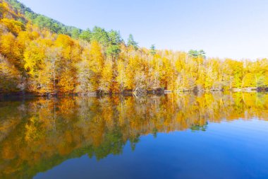 Bolu Türkiye Sonbahar'da Sevenlakes Milli Parkı. Yedigöller Milli Parkı