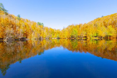 Bolu Türkiye Sonbahar'da Sevenlakes Milli Parkı. Yedigöller Milli Parkı