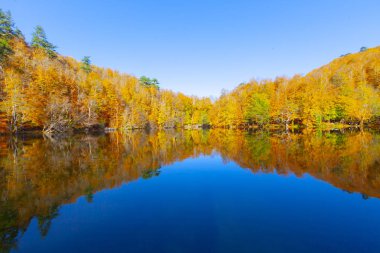 Bolu Türkiye Sonbahar'da Sevenlakes Milli Parkı. Yedigöller Milli Parkı