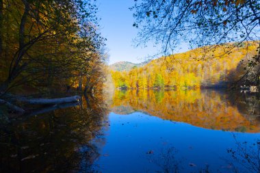 Bolu Türkiye Sonbahar'da Sevenlakes Milli Parkı. Yedigöller Milli Parkı