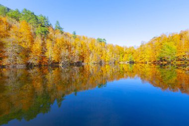 Bolu Türkiye Sonbahar'da Sevenlakes Milli Parkı. Yedigöller Milli Parkı