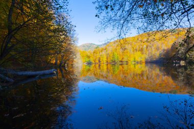 Bolu Türkiye Sonbahar'da Sevenlakes Milli Parkı. Yedigöller Milli Parkı