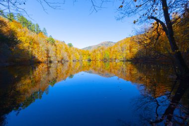 Bolu Türkiye Sonbahar'da Sevenlakes Milli Parkı. Yedigöller Milli Parkı