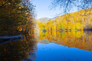 Bolu Türkiye Sonbahar'da Sevenlakes Milli Parkı. Yedigöller Milli Parkı