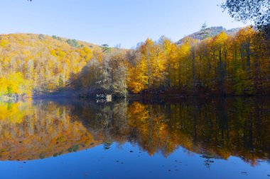 Bolu Türkiye Sonbahar'da Sevenlakes Milli Parkı. Yedigöller Milli Parkı