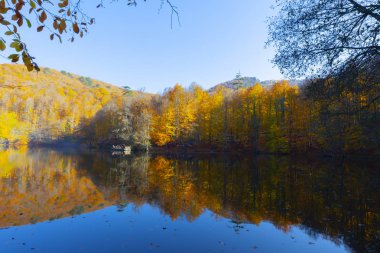 Bolu Türkiye Sonbahar'da Sevenlakes Milli Parkı. Yedigöller Milli Parkı