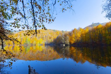 Bolu Türkiye Sonbahar'da Sevenlakes Milli Parkı. Yedigöller Milli Parkı
