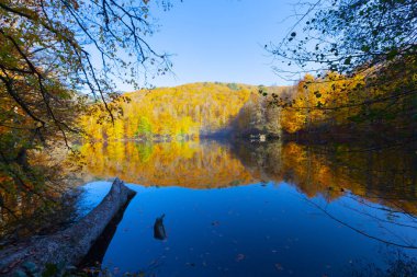 Bolu Türkiye Sonbahar'da Sevenlakes Milli Parkı. Yedigöller Milli Parkı