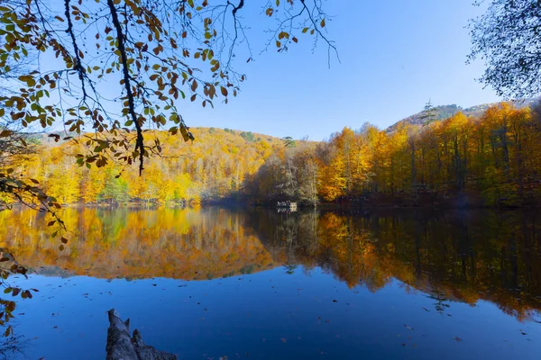 Сім Озер Національний Парк Восени Bolu Туреччини Парк Єділлер Міллі — стокове фото