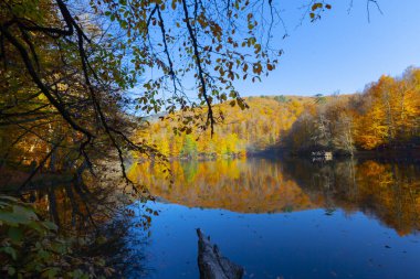 Bolu Türkiye Sonbahar'da Sevenlakes Milli Parkı. Yedigöller Milli Parkı