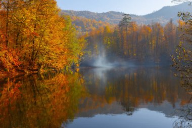 Bolu Türkiye Sonbahar'da Sevenlakes Milli Parkı. Yedigöller Milli Parkı