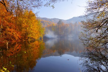 Bolu Türkiye Sonbahar'da Sevenlakes Milli Parkı. Yedigöller Milli Parkı