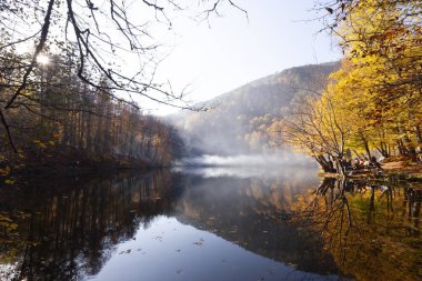 Bolu Türkiye Sonbahar'da Sevenlakes Milli Parkı. Yedigöller Milli Parkı
