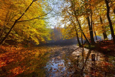 Bolu Türkiye Sonbahar'da Sevenlakes Milli Parkı. Yedigöller Milli Parkı
