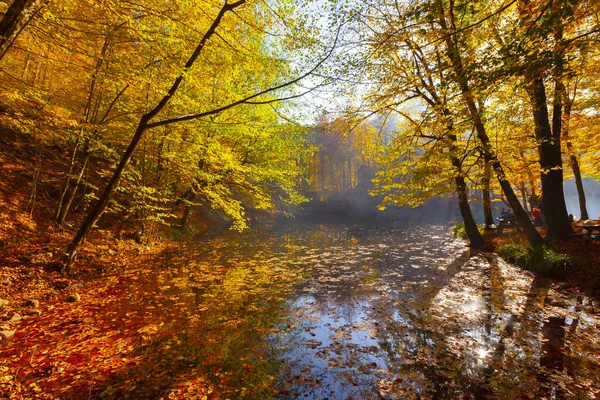 Sedmijezská Národní Park Podzim Bolu Turkey Yedigoller Milli Park — Stock fotografie