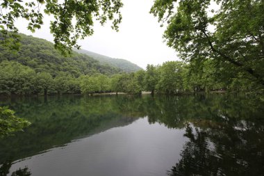 Türkiye'nin şelaleleri ve nehirleri. Erikli şelalesi, Çınarcık, Yalova, Türkiye