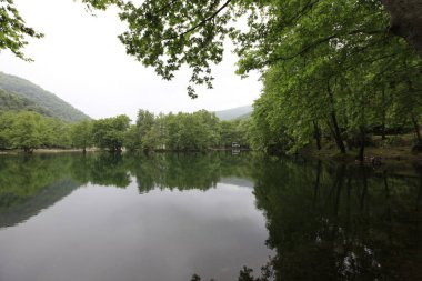 Türkiye'nin şelaleleri ve nehirleri. Erikli şelalesi, Çınarcık, Yalova, Türkiye