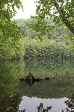 Türkiye'nin şelaleleri ve nehirleri. Erikli şelalesi, Çınarcık, Yalova, Türkiye