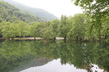Türkiye'nin şelaleleri ve nehirleri. Erikli şelalesi, Çınarcık, Yalova, Türkiye