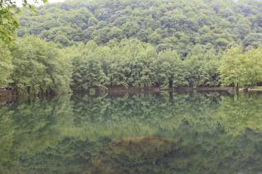 Türkiye'nin şelaleleri ve nehirleri. Erikli şelalesi, Çınarcık, Yalova, Türkiye