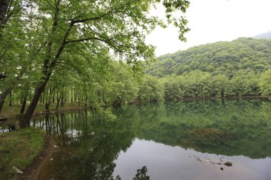 Türkiye'nin şelaleleri ve nehirleri. Erikli şelalesi, Çınarcık, Yalova, Türkiye