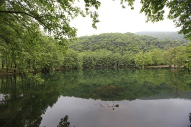 Türkiye'nin şelaleleri ve nehirleri. Erikli şelalesi, Çınarcık, Yalova, Türkiye