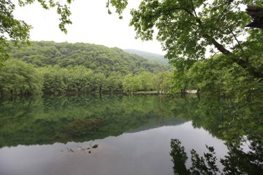 Türkiye'nin şelaleleri ve nehirleri. Erikli şelalesi, Çınarcık, Yalova, Türkiye