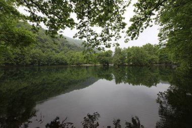 Türkiye'nin şelaleleri ve nehirleri. Erikli şelalesi, Çınarcık, Yalova, Türkiye