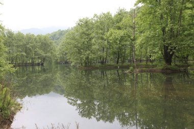 Türkiye'nin şelaleleri ve nehirleri. Erikli şelalesi, Çınarcık, Yalova, Türkiye