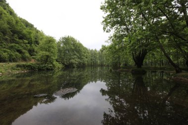 Türkiye'nin şelaleleri ve nehirleri. Erikli şelalesi, Çınarcık, Yalova, Türkiye