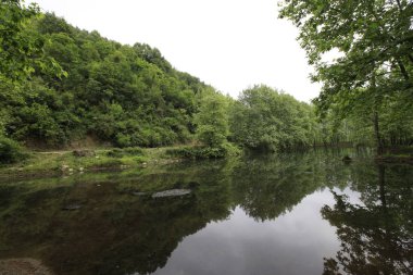 Türkiye'nin şelaleleri ve nehirleri. Erikli şelalesi, Çınarcık, Yalova, Türkiye