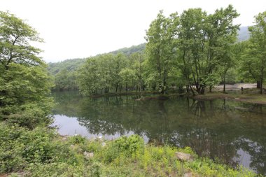 Türkiye'nin şelaleleri ve nehirleri. Erikli şelalesi, Çınarcık, Yalova, Türkiye