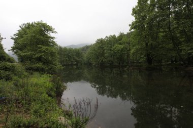 Türkiye'nin şelaleleri ve nehirleri. Erikli şelalesi, Çınarcık, Yalova, Türkiye