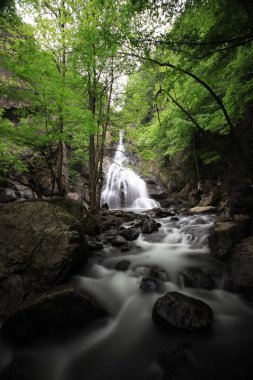 Türkiye'nin şelaleleri ve nehirleri. Erikli şelalesi, Çınarcık, Yalova, Türkiye