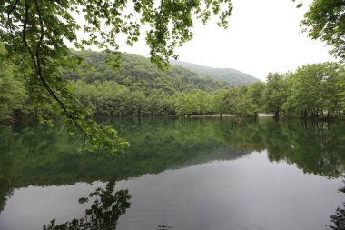 Türkiye'nin şelaleleri ve nehirleri. Erikli şelalesi, Çınarcık, Yalova, Türkiye