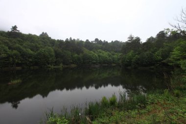 Türkiye'nin şelaleleri ve nehirleri. Erikli şelalesi, Çınarcık, Yalova, Türkiye