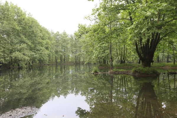 Turkey's waterfalls and rivers. Erikli waterfall, Cinarcik, Yalova, Turkey