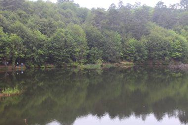 Türkiye'nin şelaleleri ve nehirleri. Erikli şelalesi, Çınarcık, Yalova, Türkiye