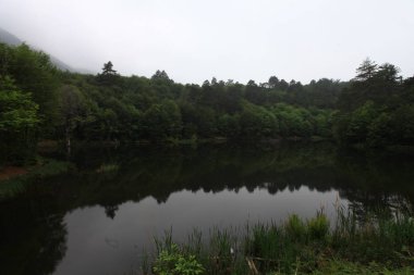 Türkiye'nin şelaleleri ve nehirleri. Erikli şelalesi, Çınarcık, Yalova, Türkiye