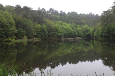 Türkiye'nin şelaleleri ve nehirleri. Erikli şelalesi, Çınarcık, Yalova, Türkiye