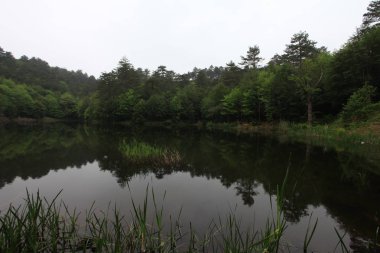 Türkiye'nin şelaleleri ve nehirleri. Erikli şelalesi, Çınarcık, Yalova, Türkiye