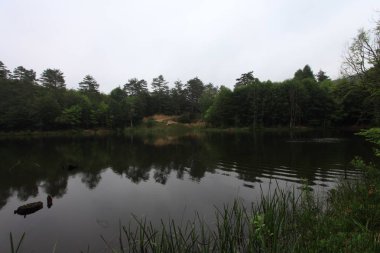 Türkiye'nin şelaleleri ve nehirleri. Erikli şelalesi, Çınarcık, Yalova, Türkiye