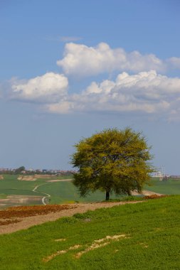 Durusu Gölü'nün (Terkos Gölü) sakin sularının gün doğumunda, terk edilmiş birkaç tekneyle muhteşem bir manzarası ön plandadır. Durusu Gölü, İstanbul'a yakın en güzel göllerden biridir..