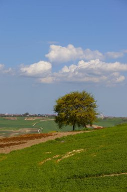 Durusu Gölü'nün (Terkos Gölü) sakin sularının gün doğumunda, terk edilmiş birkaç tekneyle muhteşem bir manzarası ön plandadır. Durusu Gölü, İstanbul'a yakın en güzel göllerden biridir..