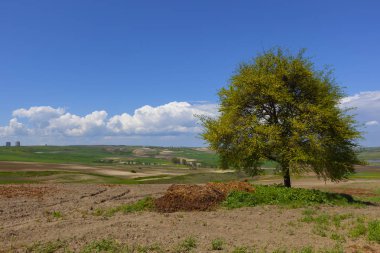 Durusu Gölü'nün (Terkos Gölü) sakin sularının gün doğumunda, terk edilmiş birkaç tekneyle muhteşem bir manzarası ön plandadır. Durusu Gölü, İstanbul'a yakın en güzel göllerden biridir..