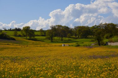 Durusu Gölü'nün (Terkos Gölü) sakin sularının gün doğumunda, terk edilmiş birkaç tekneyle muhteşem bir manzarası ön plandadır. Durusu Gölü, İstanbul'a yakın en güzel göllerden biridir..