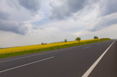 Tekirdağ'da yeşil sarı ve tarlalar