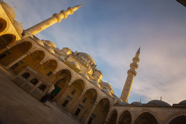 Die Schöne Suleymaniye Camii Istanbul Truthahn — Stockfoto