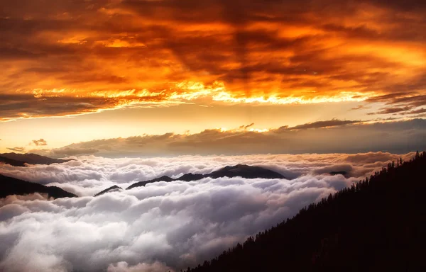 Plateau on Kackar Mountains in the Black Sea Region, Turkey